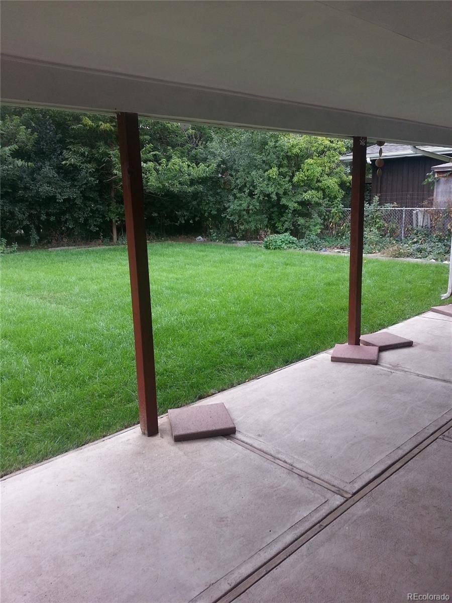 Fenced backyard