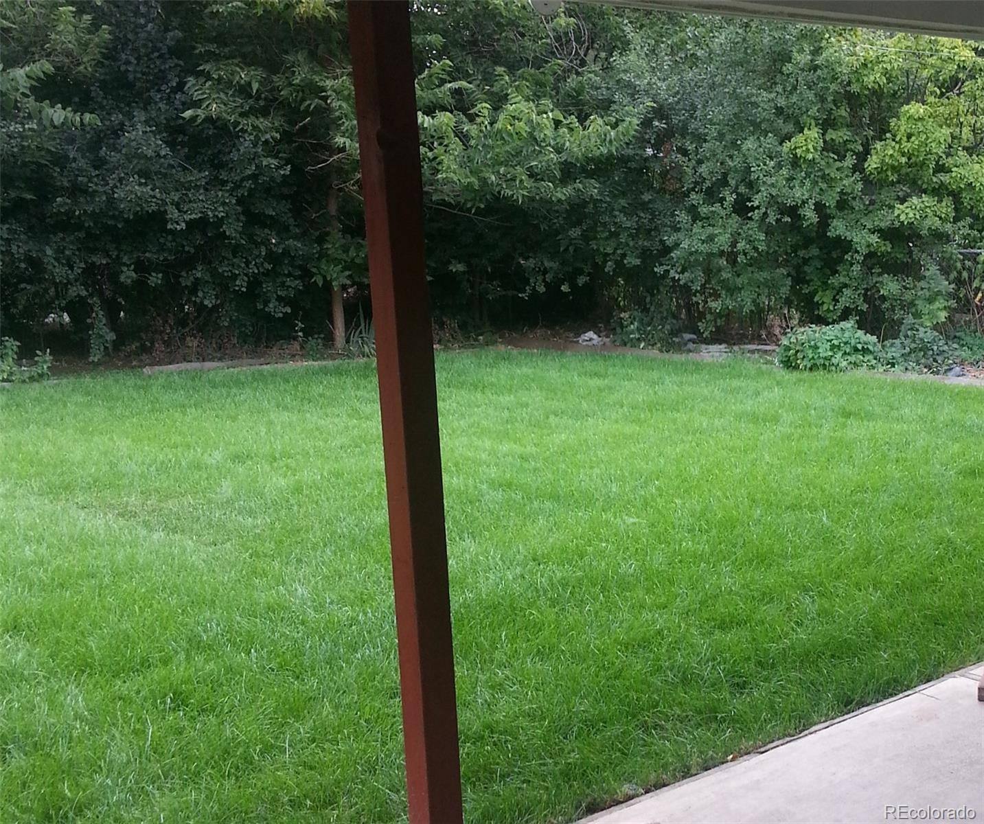 Backyard lawn