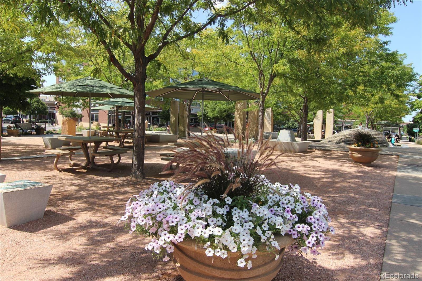 Landscaped plaza at the 29th Avenue Town Center