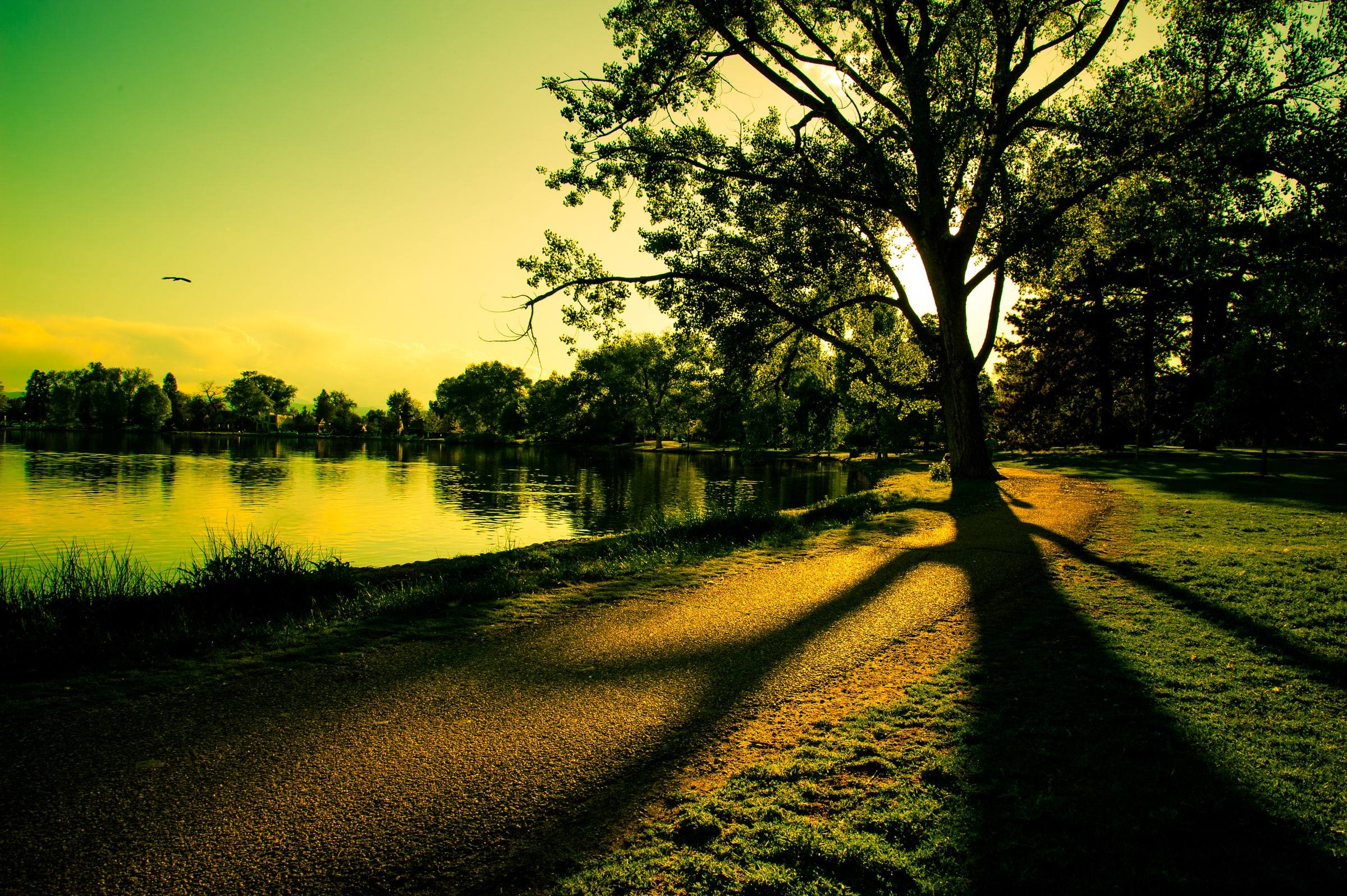 Golden light over the lake in Washington Park